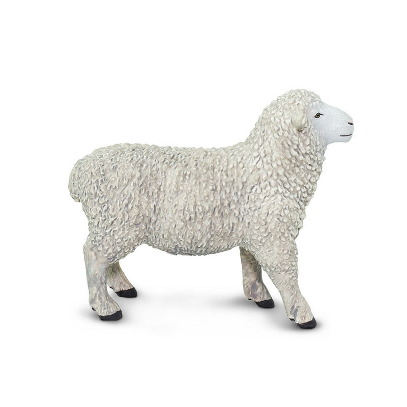 Safari Ltd Sheep