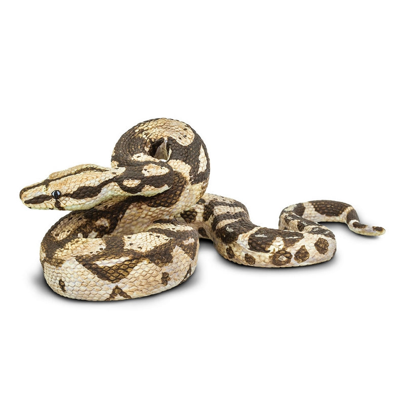 Safari Ltd Boa Constrictor