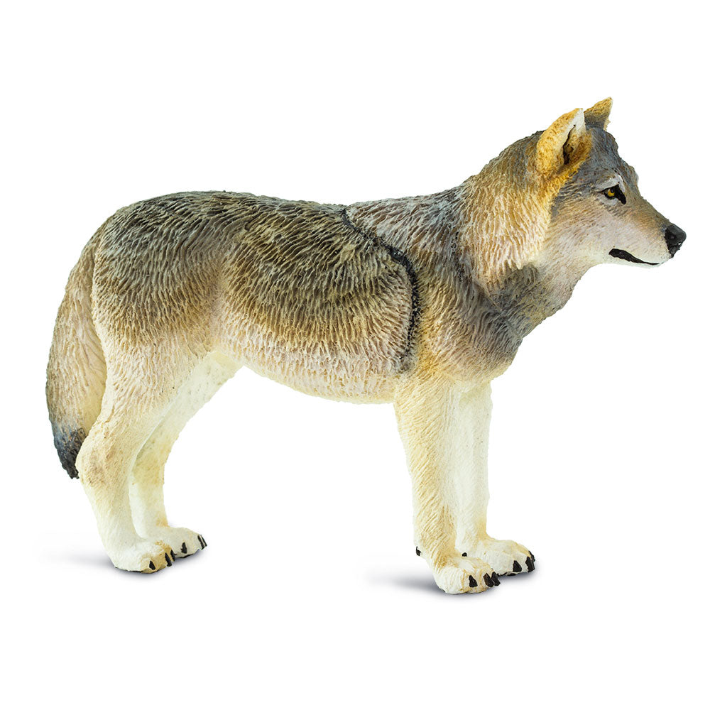 Safari Ltd Gray Wolf