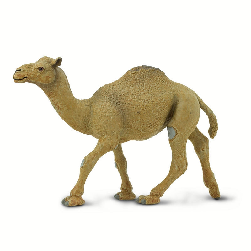 Safari Ltd Dromedary Camel