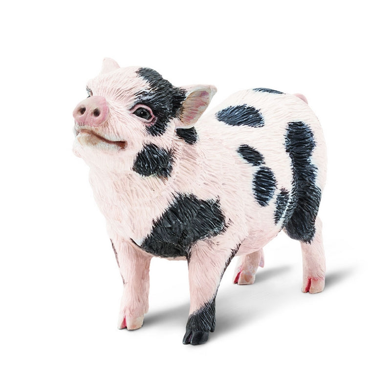 Safari Ltd Pot-Bellied Pig