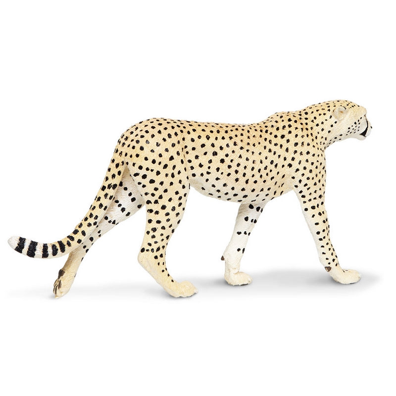 Safari Ltd Cheetah