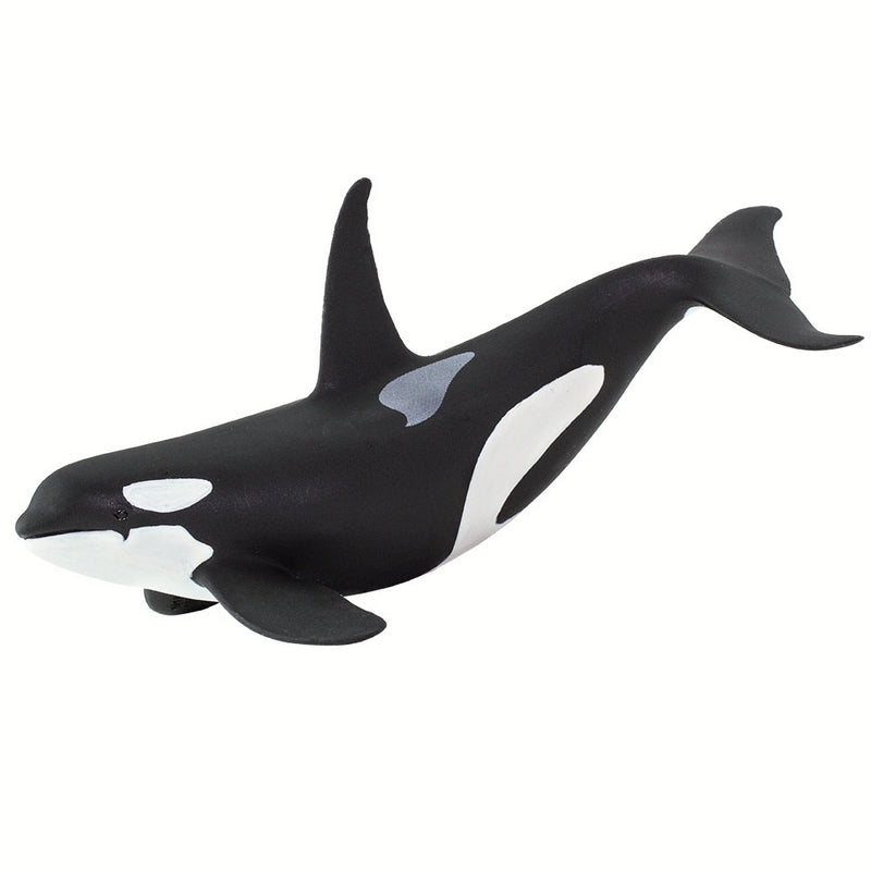 Safari Ltd Orca