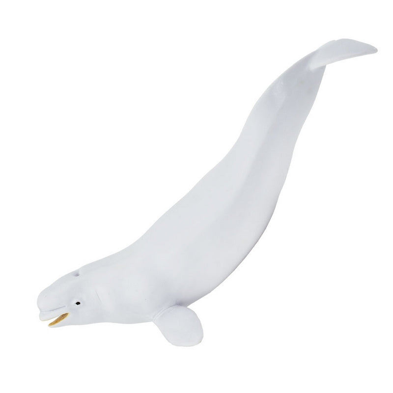 Safari Ltd Beluga Whale