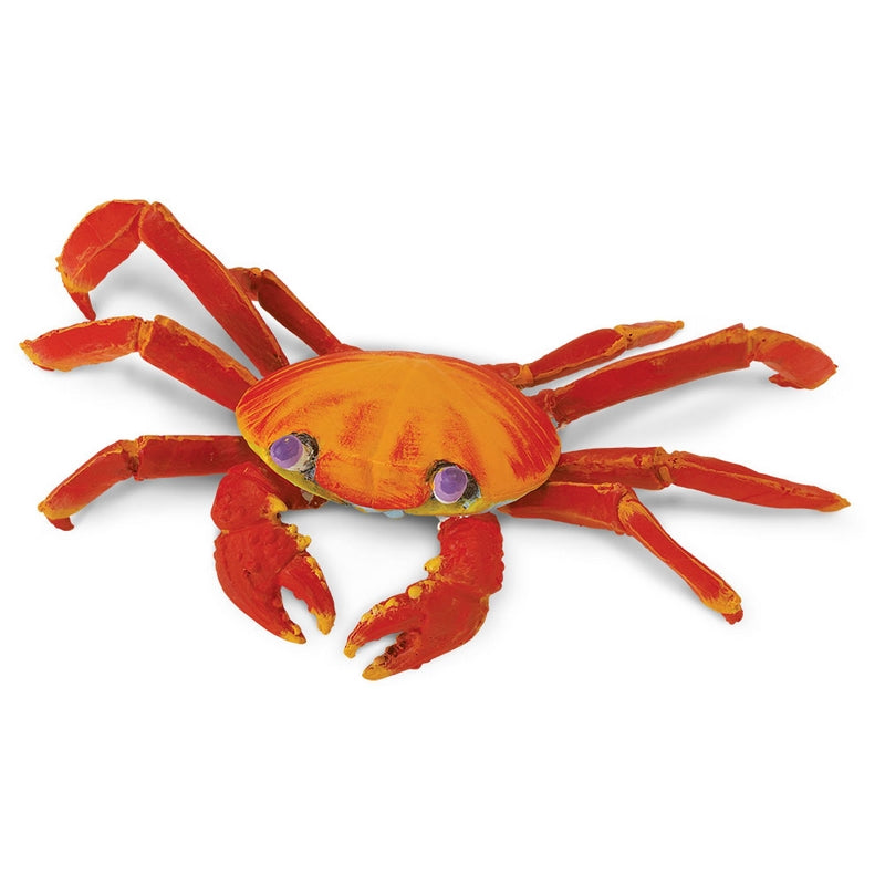 Safari Ltd Galapagos Sally Lightfoot Crab