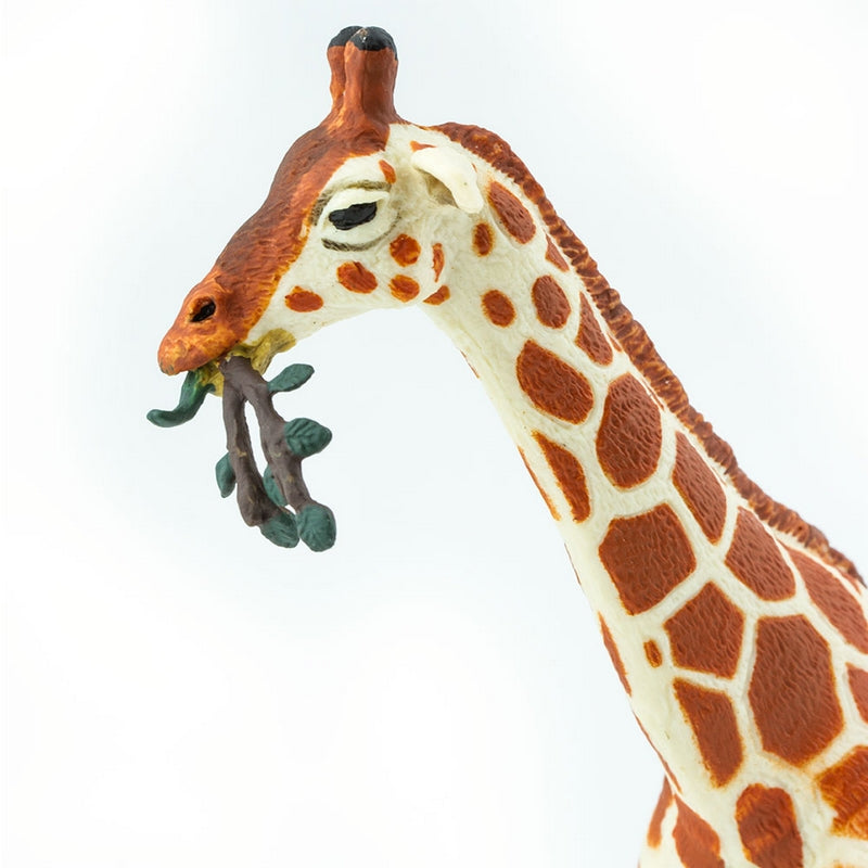 Safari Ltd Reticulated Giraffe