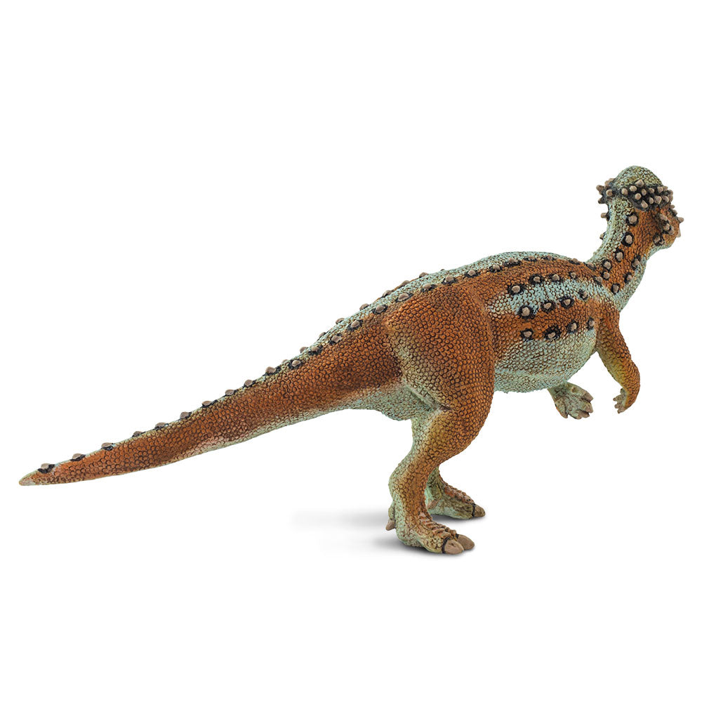 Safari Ltd Pachycephalosaurus