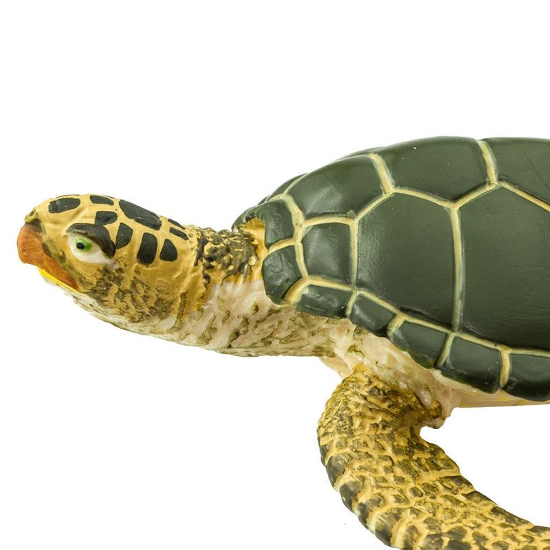 Safari Ltd Green Sea TurtleSea Life