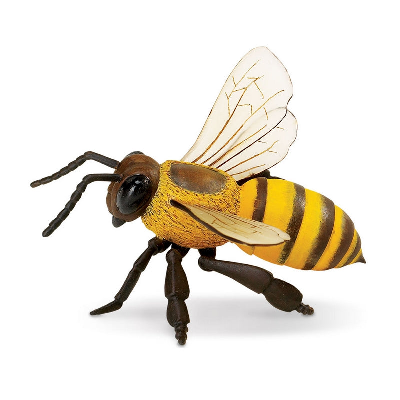 Safari Ltd Honey Bee