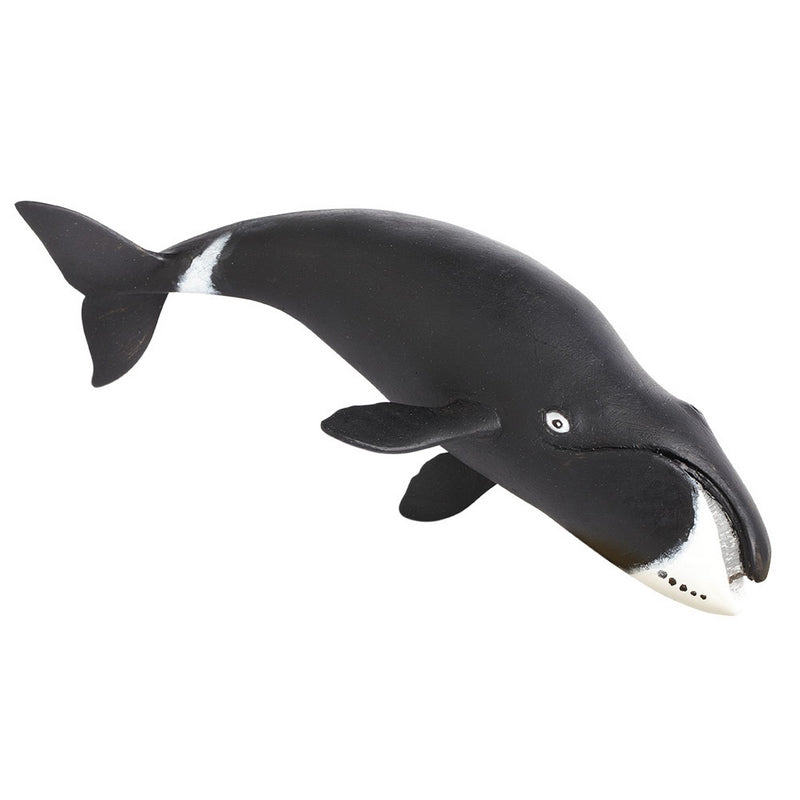 Safari Ltd Bowhead Whale