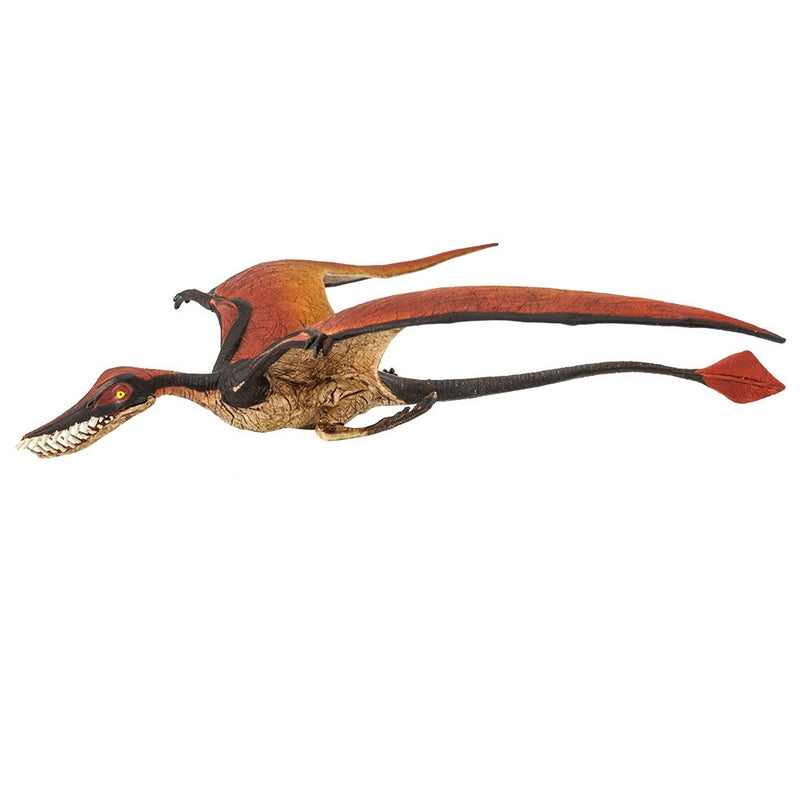 Safari Ltd Rhamphorhynchus