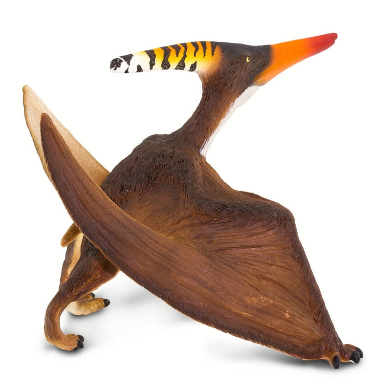 Safari Ltd Pteranodon