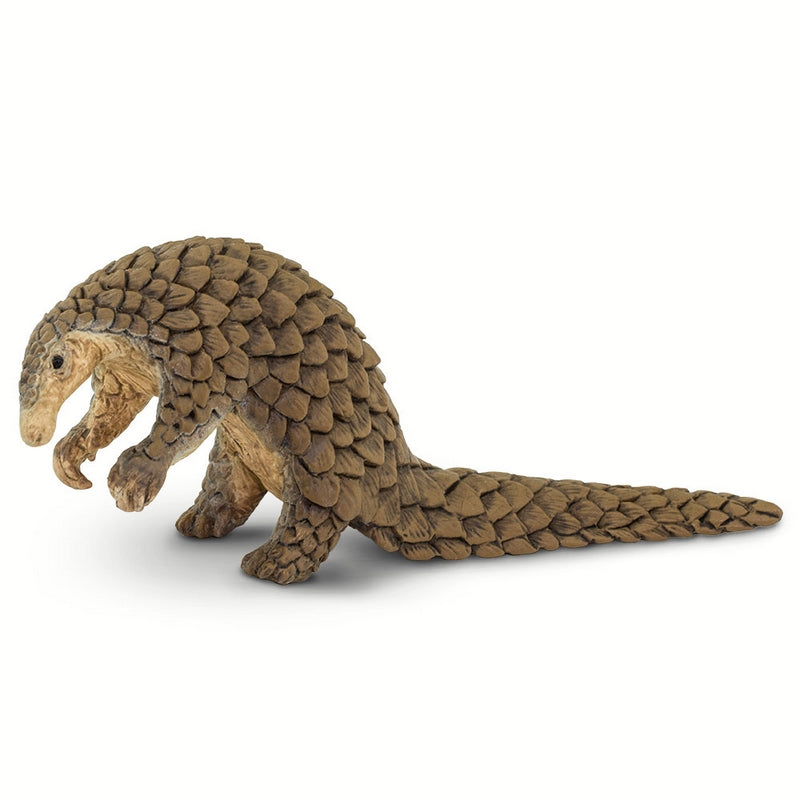 Safari Ltd Pangolin