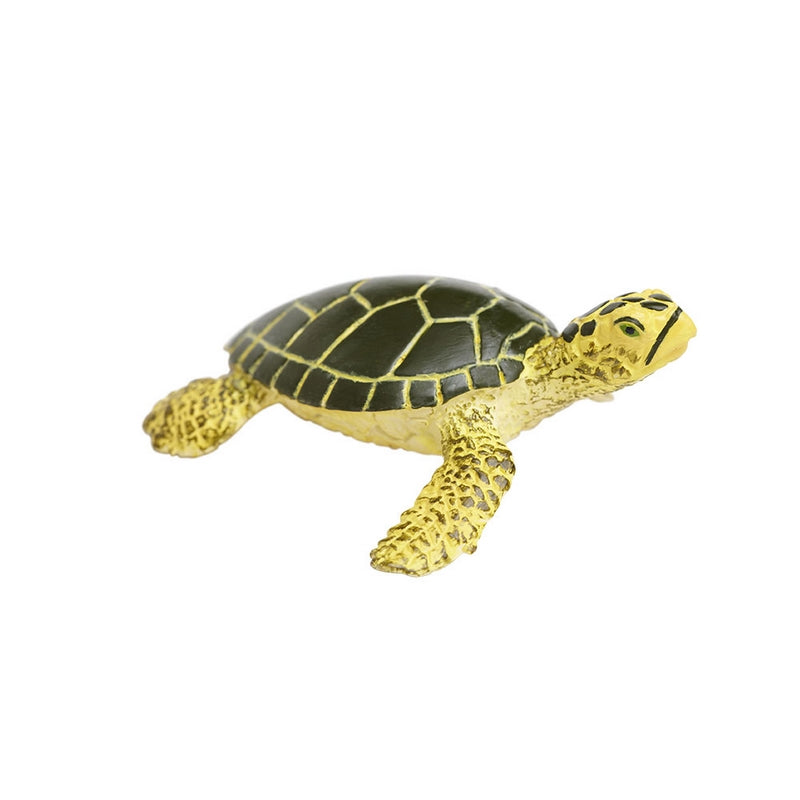 Safari Ltd Green Sea Turtle Baby