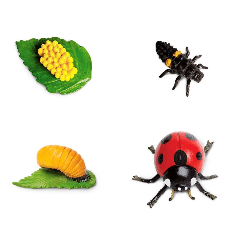 Safari Ltd Life Cycle of a Ladybug