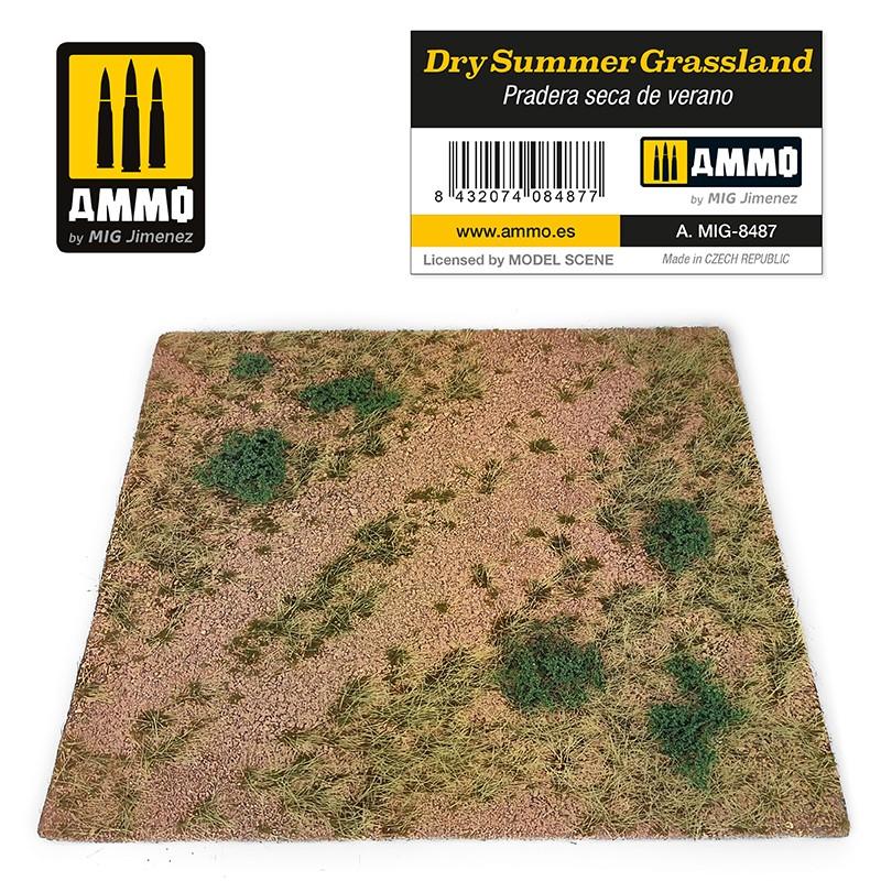 Ammo Dry Summer Grassland