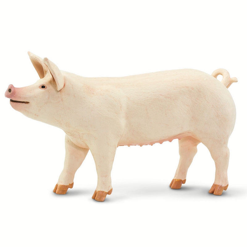 Safari Ltd Large White Pig