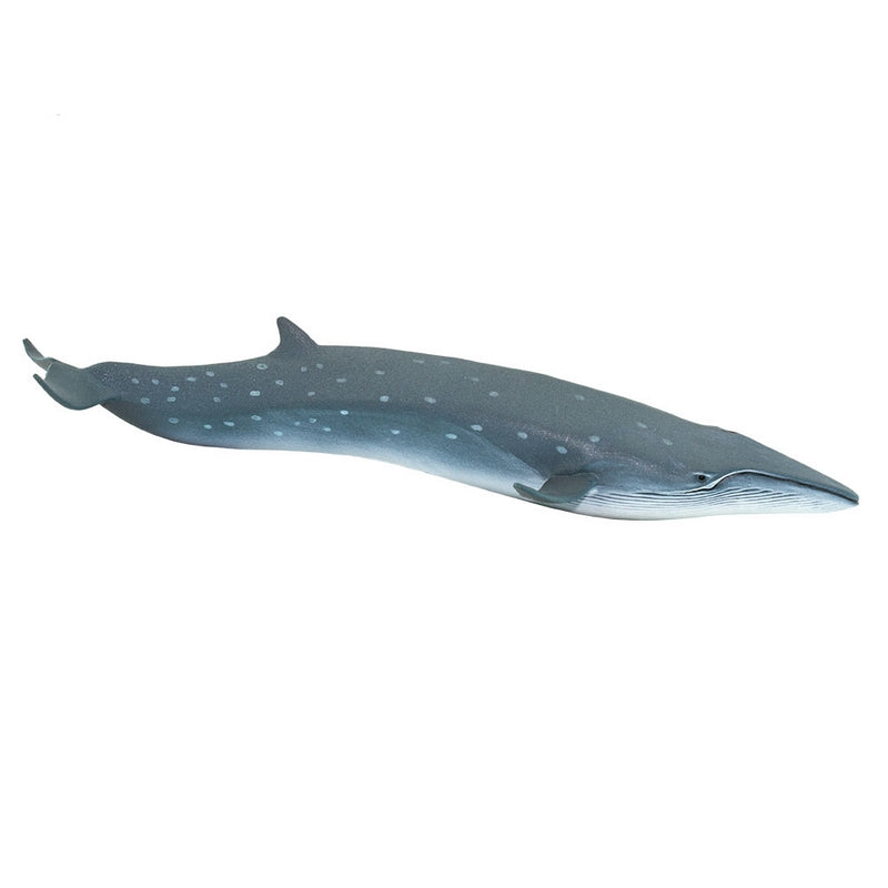 Safari Ltd Sei Whale