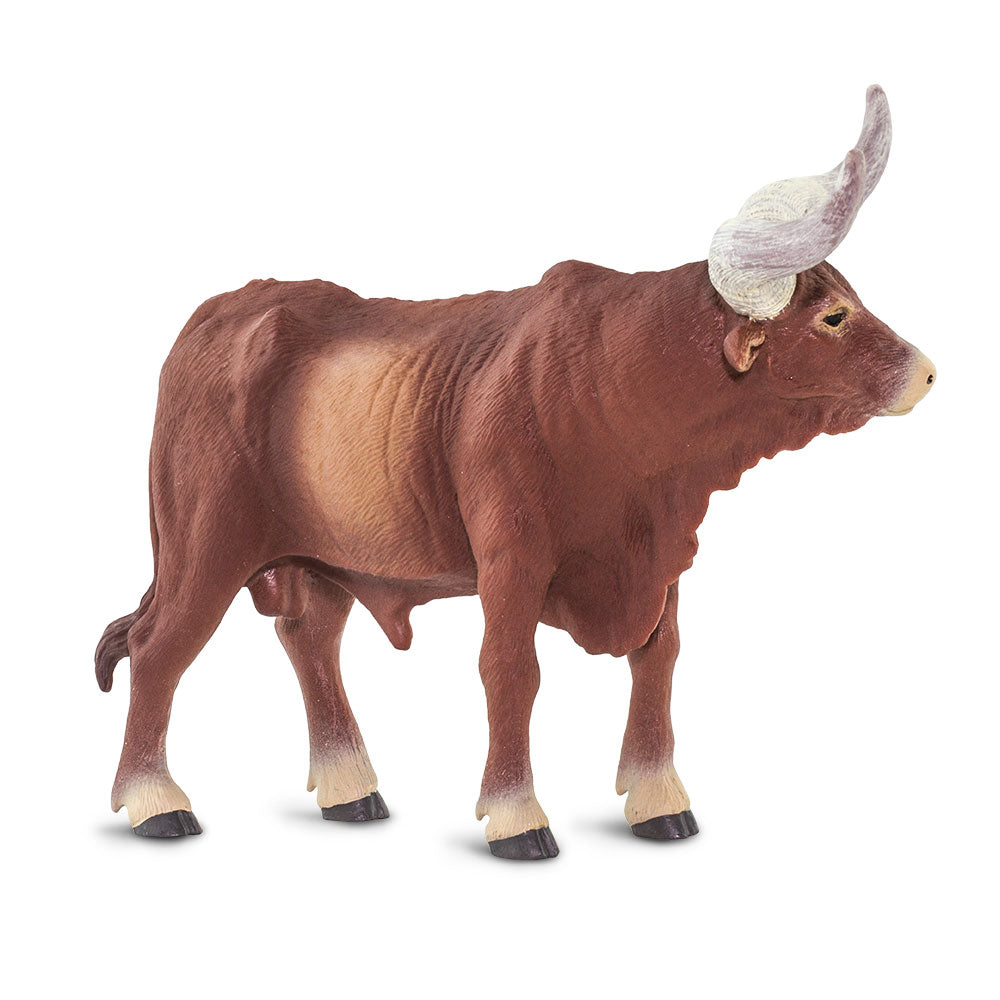 Safari Ltd Watusi Bull