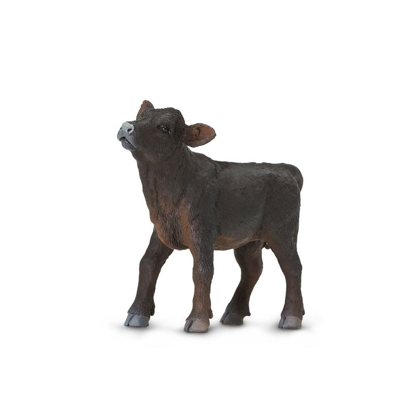 Safari Ltd Angus Calf