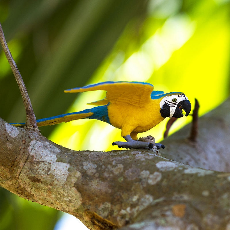 Safari Ltd Blue & Gold Macaw