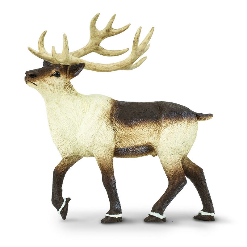 Safari Ltd Reindeer