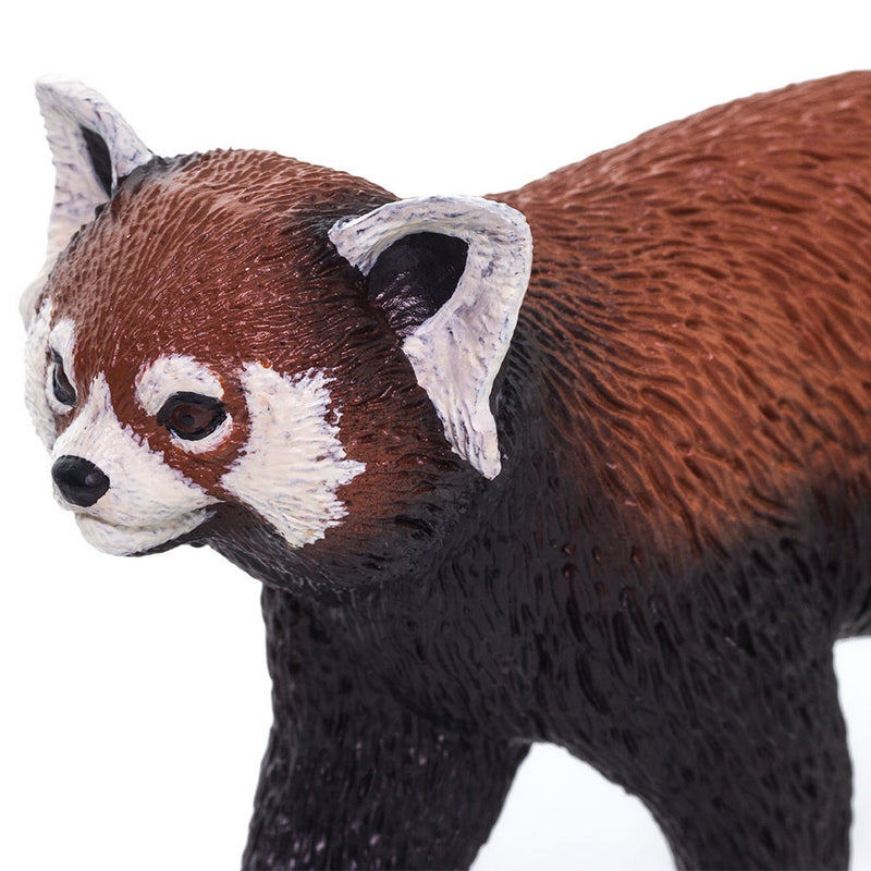 Safari Ltd Red Panda