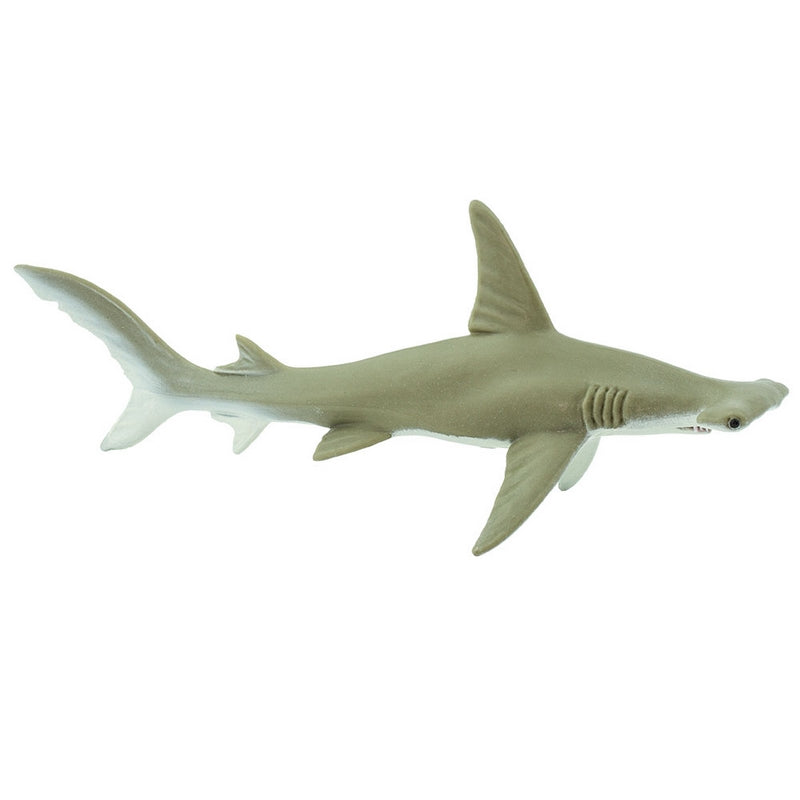 Safari Ltd Hammerhead Shark