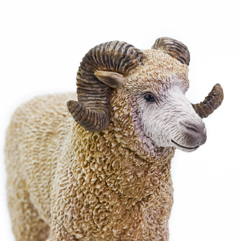 Safari Ltd Ram