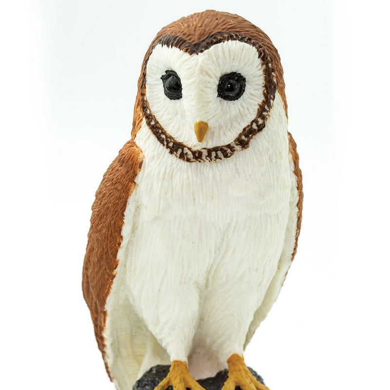 Safari Ltd Barn Owl