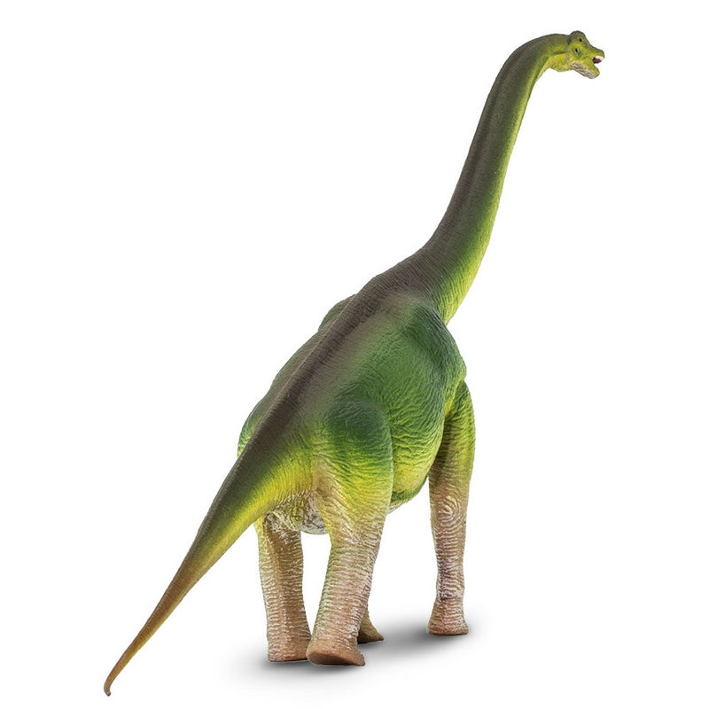 Safari Ltd Brachiosaurus