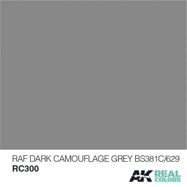 AK Interactive Real Colours RAF Dark Camouflage Grey Bs381C/629 - 10ml