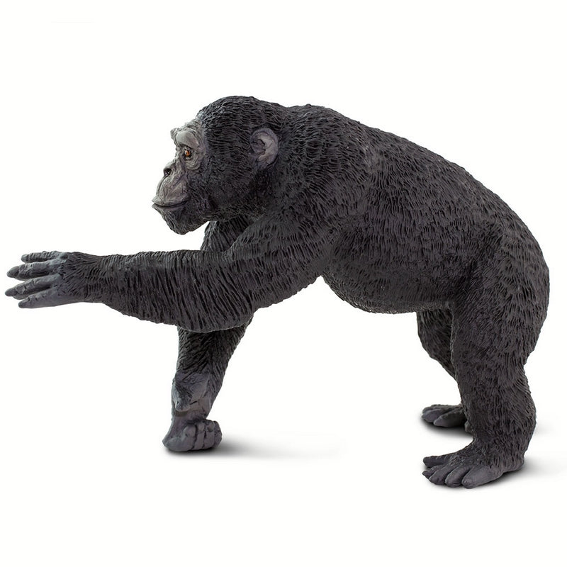 Safari Ltd Chimpanzee