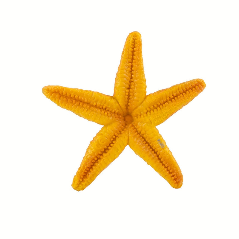 Safari Ltd Starfish