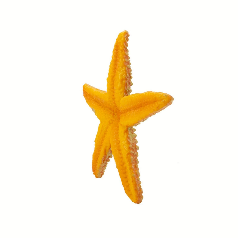 Safari Ltd Starfish