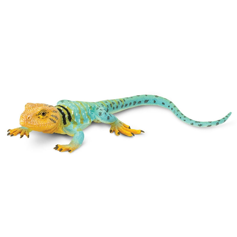 Safari Ltd Collared Lizard