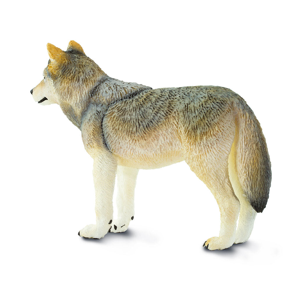 Safari Ltd Gray Wolf