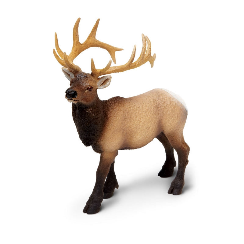 Safari Ltd Elk Bull