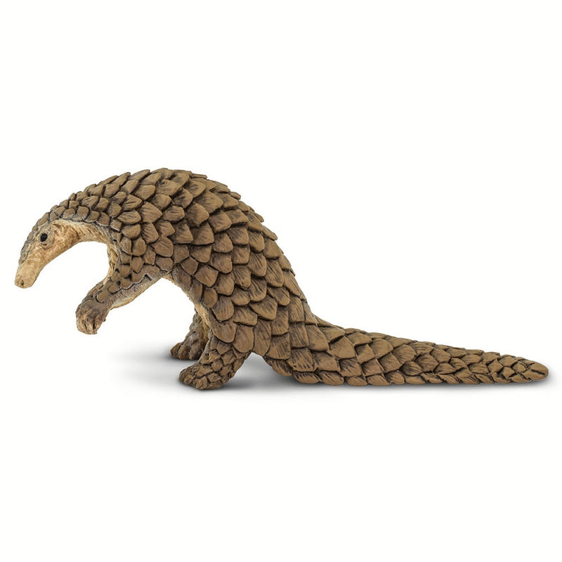 Safari Ltd Pangolin