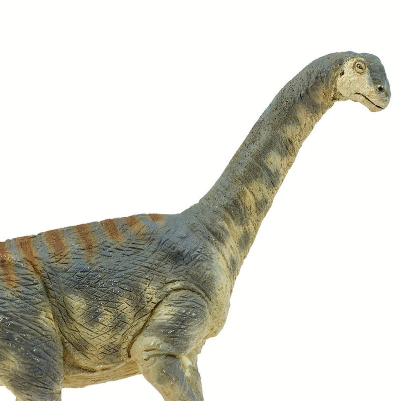 Safari Ltd Camarasaurus