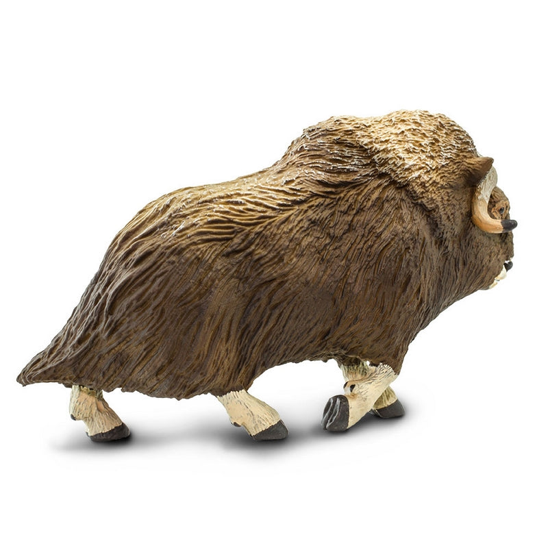 Safari Ltd Muskox