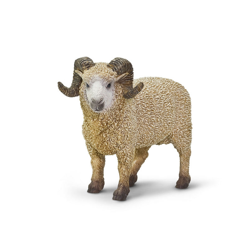 Safari Ltd Ram