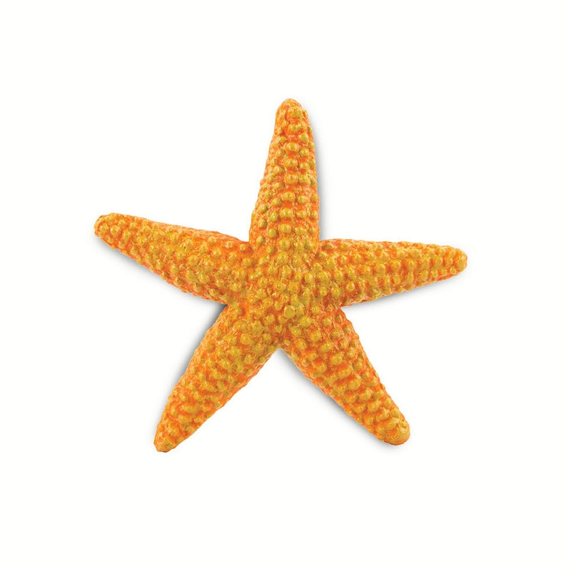 Safari Ltd Starfish