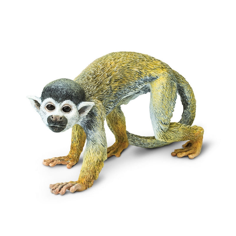 Safari Ltd Squirrel Monkey