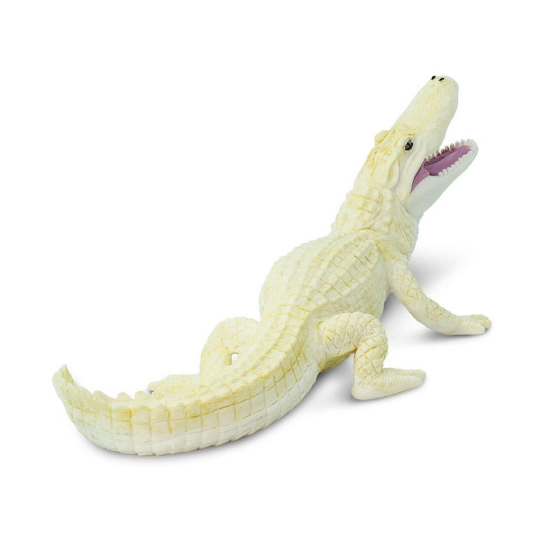 Safari Ltd White Alligator