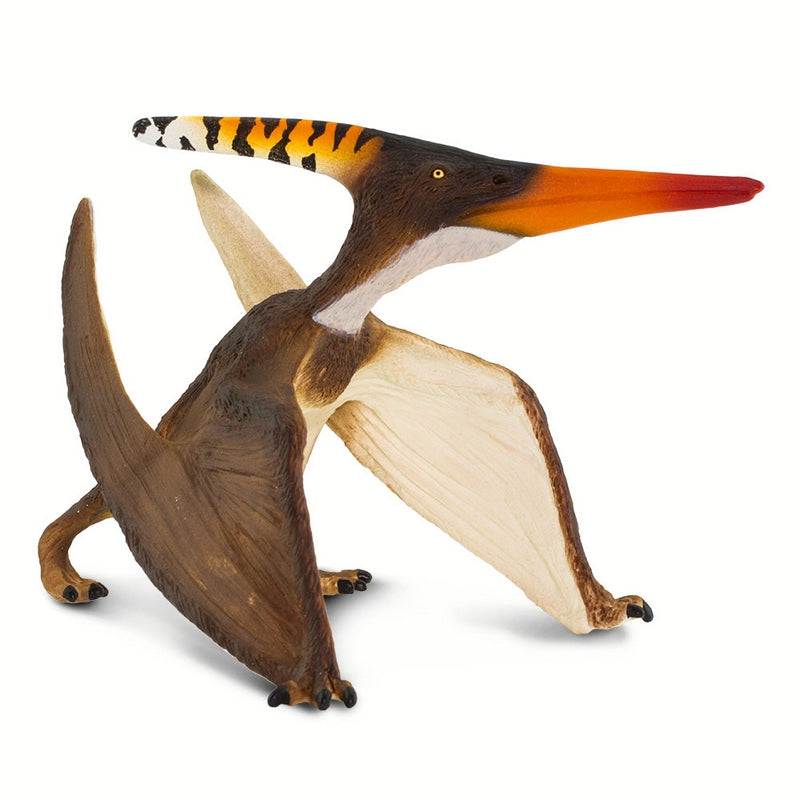 Safari Ltd Pteranodon