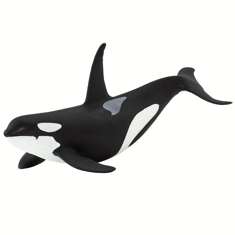 Safari Ltd Orca