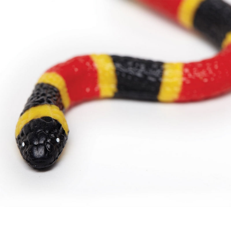 Safari Ltd Coral Snake Baby