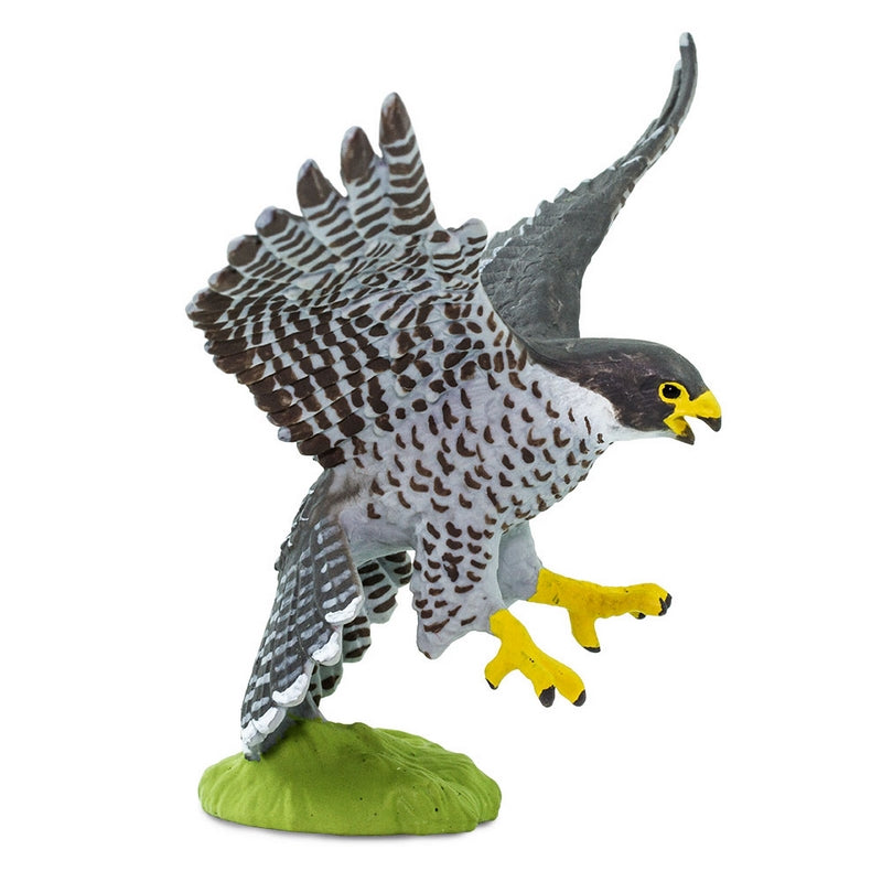 Safari Ltd Peregrine Falcon