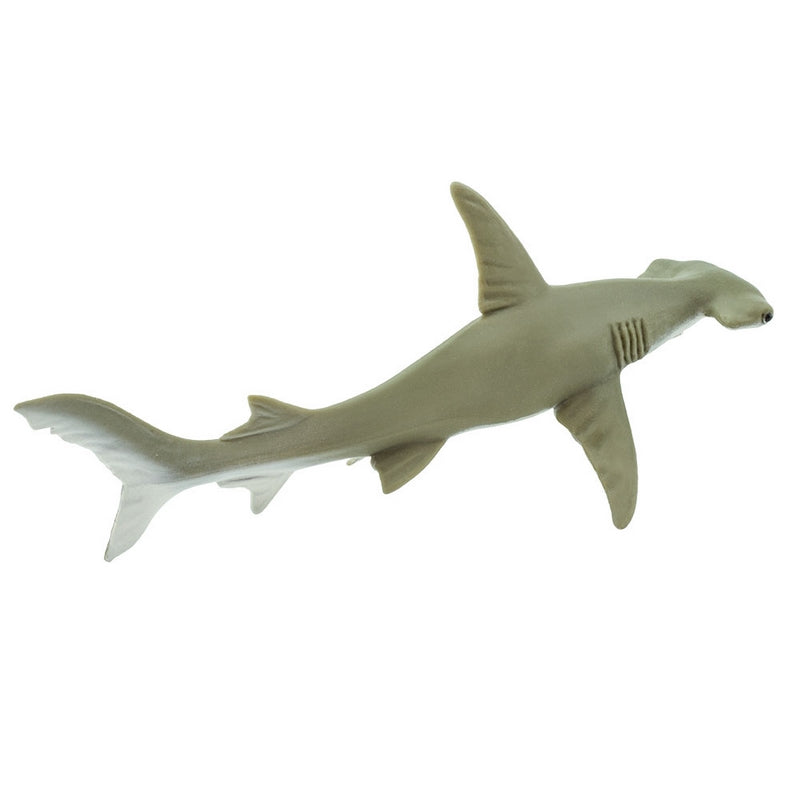 Safari Ltd Hammerhead Shark